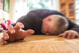 Người đàn ông 62 tuổi đột ngột tử vong dù chăm tập thể dục, bác sĩ chỉ ra sai lầm "chết người"