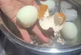Luộc trứng nên đợi nước sôi hay thả ngay từ nước lạnh? Đơn giản thế mà nhiều người vẫn sai