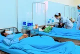 Điều tra vụ 84 người nhập viện sau khi ăn bánh mì tại Lâm Đồng
