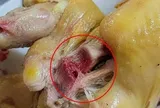 Vì sao thịt gà luộc chín vẫn đỏ xương?