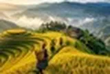 Việt Nam có địa điểm lọt TOP "sắc màu nhất thế giới”: Người dân làm du lịch trên 853 ha ruộng bậc thang, MICHELIN cũng phải vinh danh