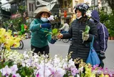 Chợ hoa phố Hoàng Hoa Thám nhộn ngày cuối năm