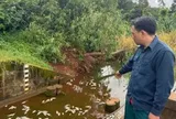 Điều tra cá chết trắng hồ gần cụm công nghiệp có 4 công ty đấu nối xả thải trái phép