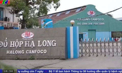 Trước vụ án thịt nhiễm bệnh tại Đồ hộp Hạ Long: Cổ đông ngoại bán sạch cổ phiếu, Chủ tịch và Kế toán trưởng đồng loạt từ nhiệm