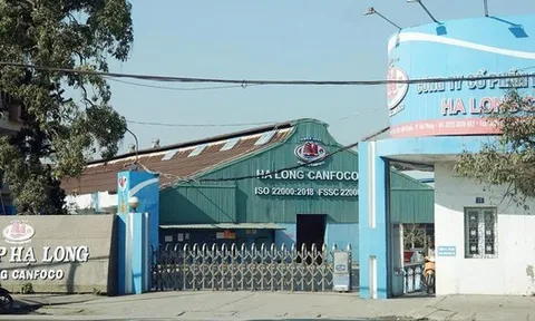 Nhà máy Đồ hộp Hạ Long - Hải Phòng tạm dừng sản xuất sau khi Tổng Giám đốc bị bắt