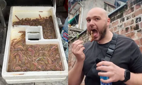 Tưởng bánh rán, khách Tây sửng sốt khi thấy nguyên liệu bò lúc nhúc