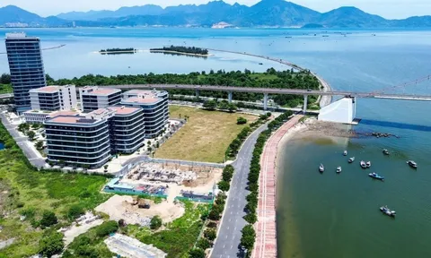 Đà Nẵng tuyển nhân sự điều hành Trung tâm Tài chính Quốc tế: Tiêu chuẩn ra sao?