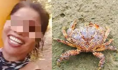 Ăn cua quỷ chứa độc tố cực mạnh để quay video, người phụ nữ tử vong