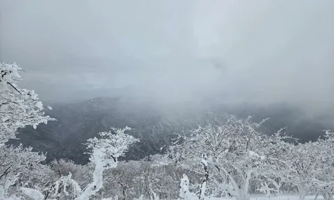 Cô gái Việt Nam tử vong ở sườn dốc khi leo núi tuyết ở Nhật một mình