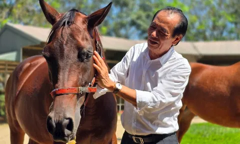 Cụ ông U80 quê Hà Tĩnh: 76 tuổi vẫn làm Chủ tịch 'cầm trịch' dự án trường đua ngựa 1.550 tỷ đồng