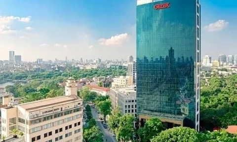 Vì sao Hạ tầng Gelex (GEL) và Petrosetco (PET) dồn dập lập công ty chung?