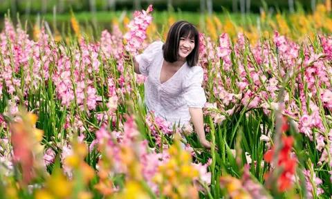 Vườn hoa lay-ơn nở muộn bất ngờ trở nên rất hot ở Đà Lạt