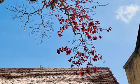 Hình ảnh Côn Đảo vào "mùa đẹp nhất năm"