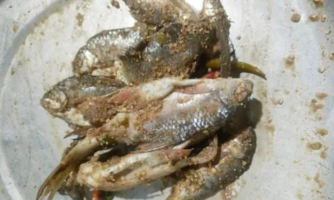 3 cháu bé nguy kịch sau khi ăn món cá chế biến kiểu “lạ”, bác sĩ cảnh báo đừng chủ quan