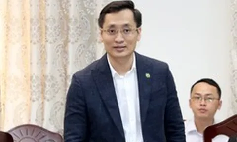 13 dự án du lịch do Novaland đầu tư gặp khó, lãnh đạo tỉnh Lâm Đồng chỉ đạo tháo gỡ