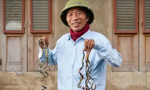 Họa sĩ Việt lập kỷ lục Guinness với bộ móng tay dài gần 6m