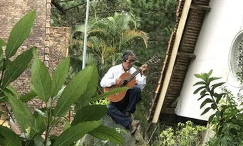 Giọt cà phê và giọt guitar