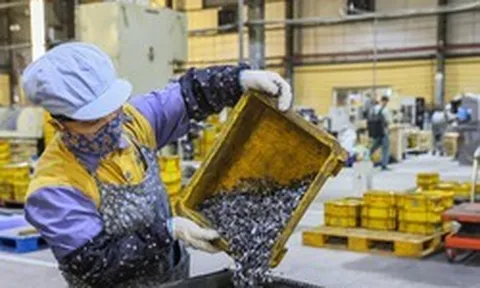 Hộ kinh doanh lưu ý gì trong kỳ kê khai thuế đầu tiên?