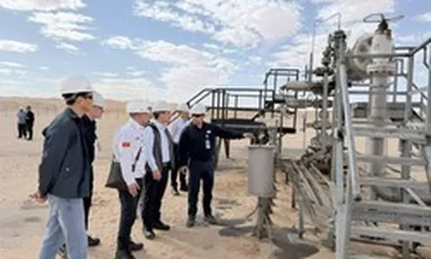 Đấu thầu thăm dò 7 lô dầu khí ở quốc gia Bắc Phi xuất khẩu khí tự nhiên lớn thứ 2 thế giới, DN Việt Nam nào xuất hiện?