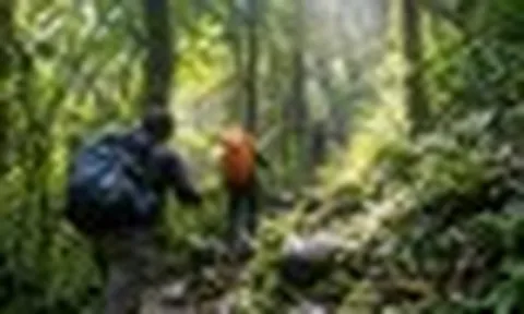 Cấm tuyệt đối 1 LOẠI hình du lịch được nhiều người yêu thích tại vườn Quốc Gia nổi tiếng