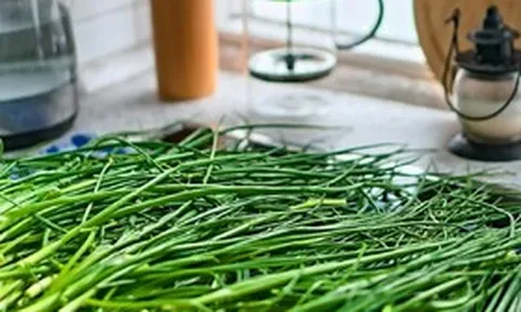 Hái cây “đẹp mắt” vì tưởng rau quý, gia đình 3 người suýt mất mạng sau bữa ăn