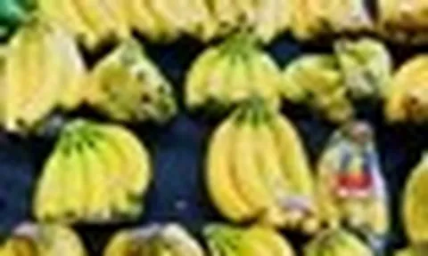 Lời khuyên quan trọng khi mua chuối
