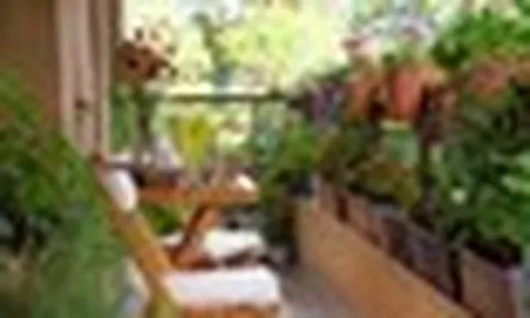 5 điều nhất định phải tránh khi trồng cây ở ban công