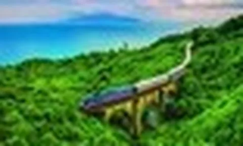 Chuyến tàu Việt Nam khách Tây mua vé giá hơn 500 triệu: Chạy 8 ngày 7 đêm, giữa đường được làm 1 việc