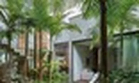 Vì sao người xưa dạy trồng "cau trước, chuối sau"?