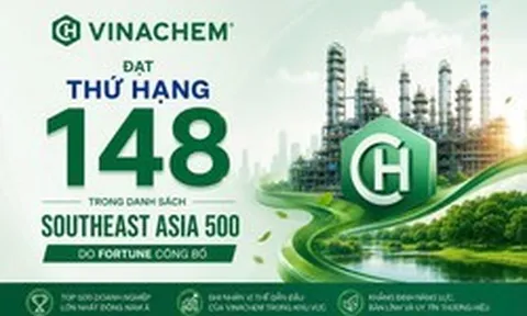 Doanh thu 2,4 tỷ USD, Vinachem lần đầu có tên trong bảng xếp hạng 500 doanh nghiệp Đông Nam Á của Fortune