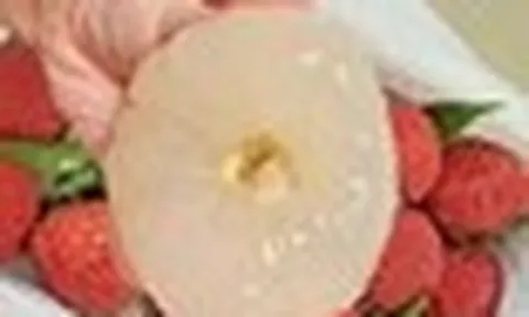 Người đàn ông suýt chết vì kiểu ăn vải ai nghe xong cũng "sốc", bác sĩ cảnh báo 3 sai lầm chí mạng