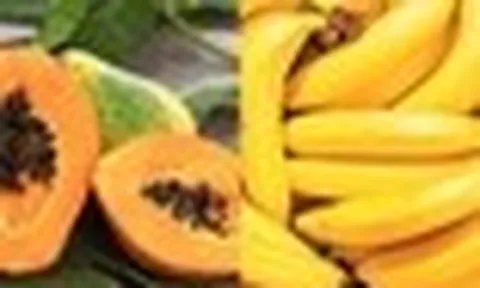 Tưởng cẩn thận hóa ra phản tác dụng: 10 loại thực phẩm càng để tủ lạnh càng nhanh hỏng, nhiều nhà mắc phải mỗi ngày