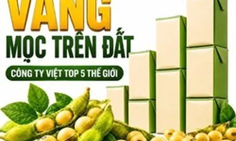 Được GS.TS Trần Đình Long ví như “vàng mọc trên đất”, loài cây này giúp một doanh nghiệp Việt vào Top 5 thế giới, doanh thu hơn 4.100 tỷ đồng/năm