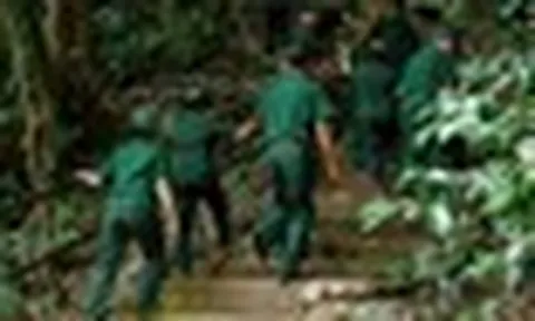 Cựu chiến binh trở lại làm 1 việc trong "căn cứ đặc biệt" ở miền Trung, nhiều người trẻ phải trầm trồ