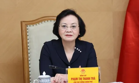Phó Thủ tướng Phạm Thị Thanh Trà nhận thêm nhiệm vụ mới