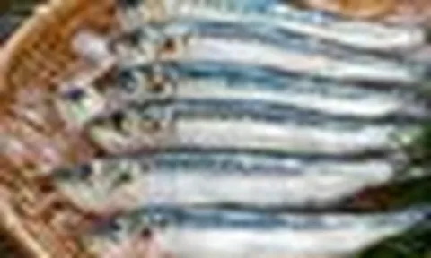 Loại cá được Mỹ xếp vào nhóm tốt nhất thế giới: Ở Việt Nam bán đầy ngoài chợ, giá chỉ từ vài chục nghìn đồng