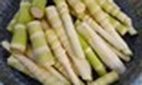 Đừng chủ quan với rau củ: 5 loại quen thuộc chứa độc tố tự nhiên, nấu chưa chín kỹ có thể gây ngộ độc