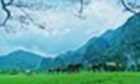 Không phải Sa Pa, đây là nơi được ví như "Mông Cổ thu nhỏ" của Việt Nam: Vừa lọt đề cử tốt nhất thế giới