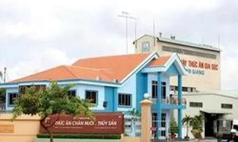 Một công ty nông nghiệp “tất tay” hơn 220 tỷ đồng vào cổ phiếu VIC