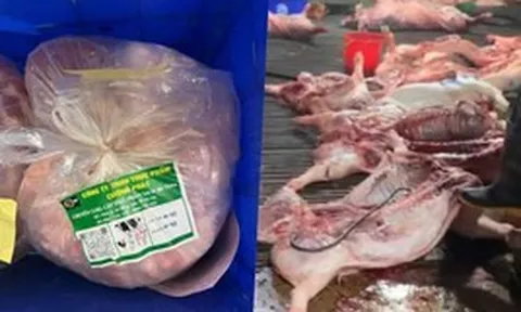 Vụ 300 tấn thịt lợn bệnh: Gói thầu hơn 10 tỷ đồng đưa thực phẩm bẩn vào trường tiểu học ở Hà Nội