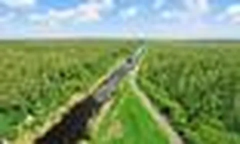 Việt Nam có khu rừng thuộc dạng hiếm bậc nhất thế giới, chia đôi bởi 1 dòng sông, 3 tổ chức cùng vinh danh