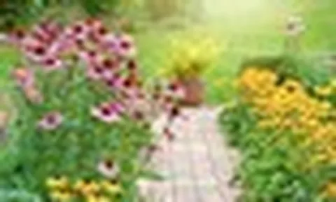 Loại cây nên trồng ngay bây giờ để sắp tới tha hồ hưởng lợi: Chuyên gia nói “mọi khu vườn nên có”