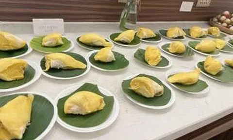 CLIP: Thưởng thức buffet sầu riêng ở Cần Thơ