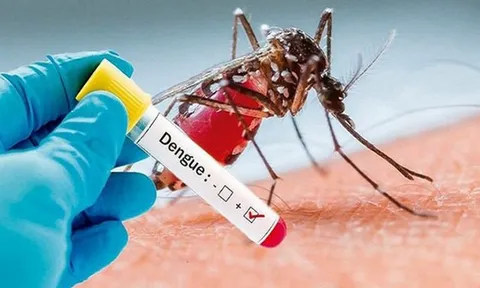 Người dân không chủ quan với dịch sốt xuất huyết