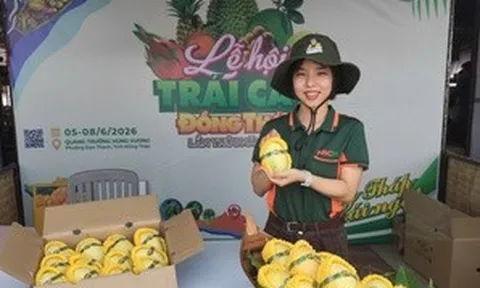 Bản đồ Việt Nam được làm từ đặc sản của Đồng Tháp