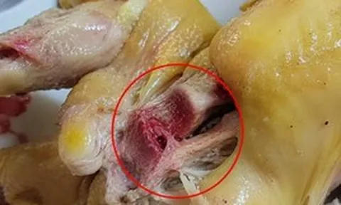 Vì sao thịt gà luộc chín vẫn đỏ xương?