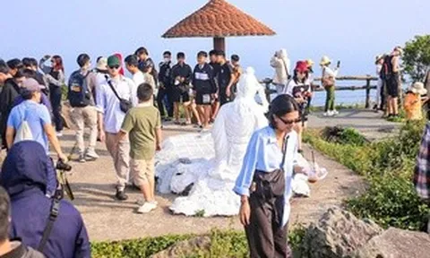 Đà Nẵng mở tour thưởng trà trên đỉnh Bàn Cờ