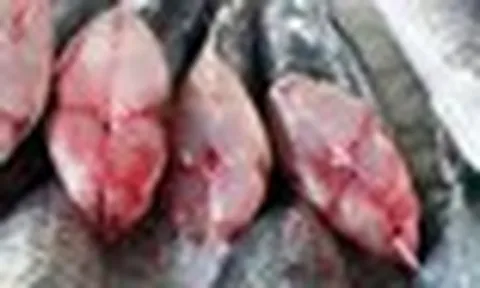 6 loại cá chứa lượng thủy ngân cao nhất