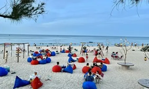 Yêu cầu thu hơn 8,8 tỷ đồng từ các hộ kinh doanh ở biển Nhật Lệ