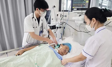 Gai hoa giấy đâm vào chân, cụ bà 71 tuổi nguy kịch